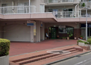 %e8%8f%8a%e5%90%8d%e3%83%8f%e3%82%a4%e3%83%84